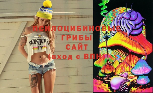 кокс Бородино