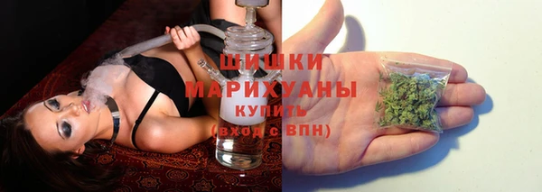 кокс Бородино