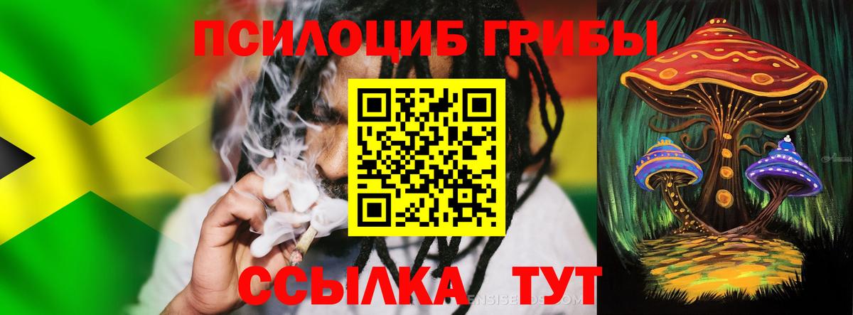 Галлюциногенные грибы Psilocybe Кубинка